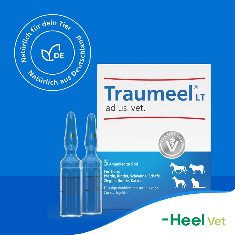TRAUMEEL LT ad us.vet.Ampullen 5X5 ml Ampullen