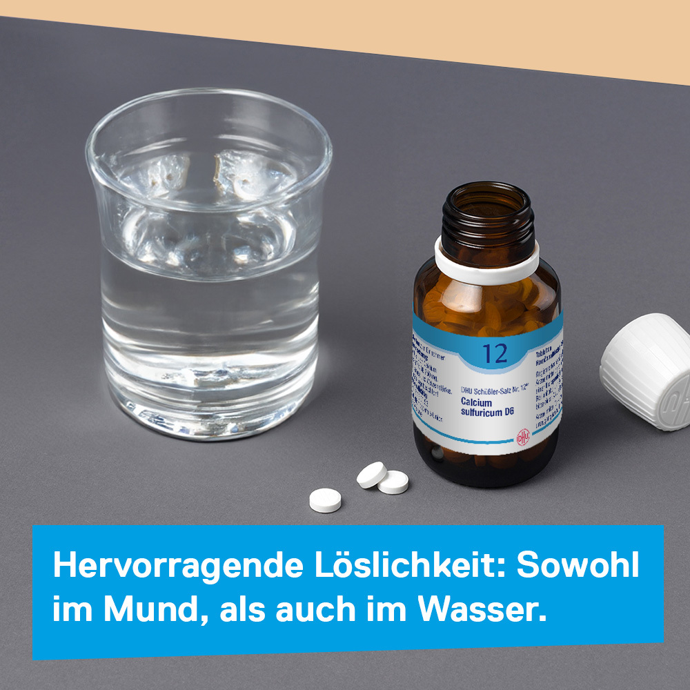 DHU Schüßler-Salz Nr. 12 Calcium sulfuricum D6  420 St Tabletten
