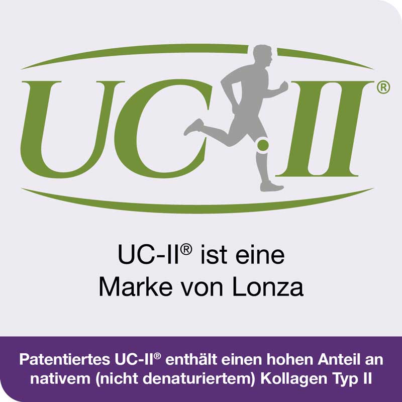 flexiLoges Knorpel aktiv 120 St Kapseln