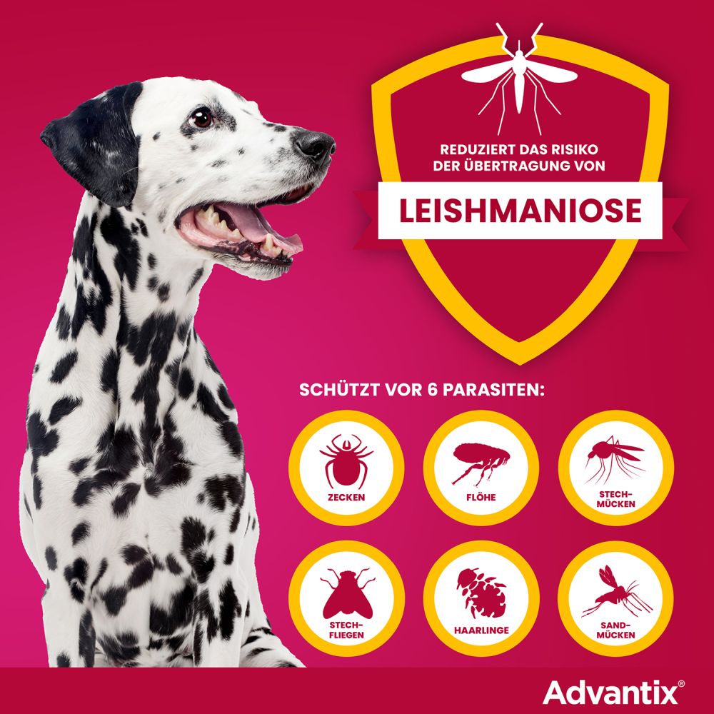 ADVANTIX SPOT-ON HUND 25-40KG 4X4.0 ml Lösung