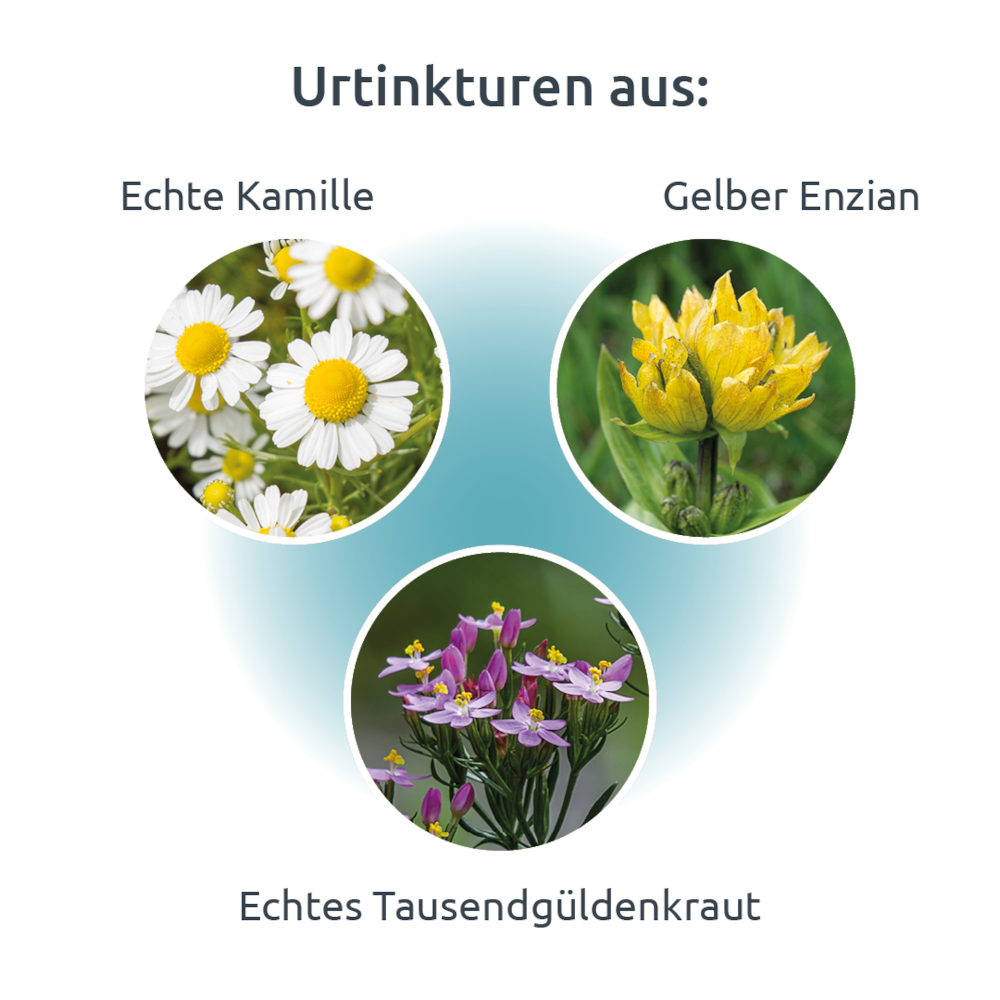 DR.THEISS Gastrin-Do Tropfen 20 ml Mischung