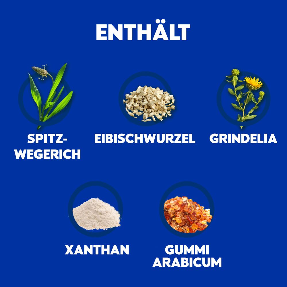 WICK Husten-Sirup Natura 140 ml Sirup