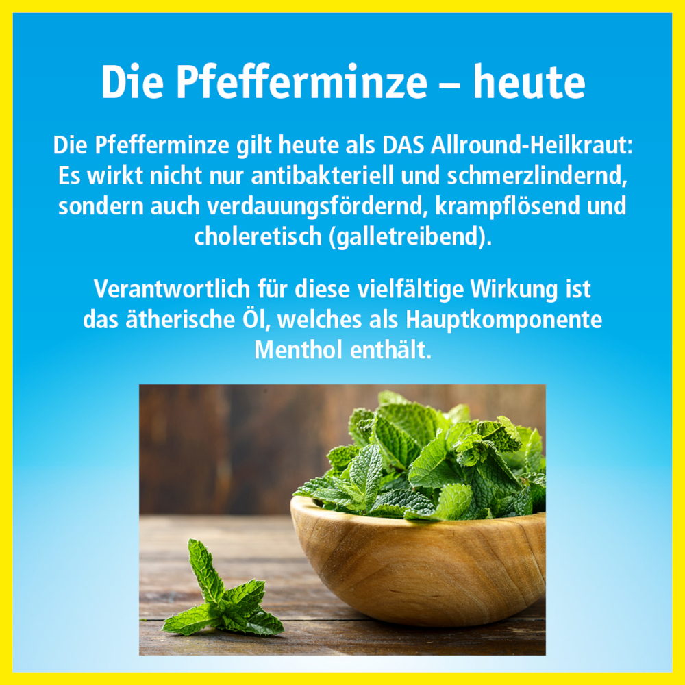 China Oel Hals- und Rachen-Bonbons zuckerfrei 40 g Bonbons