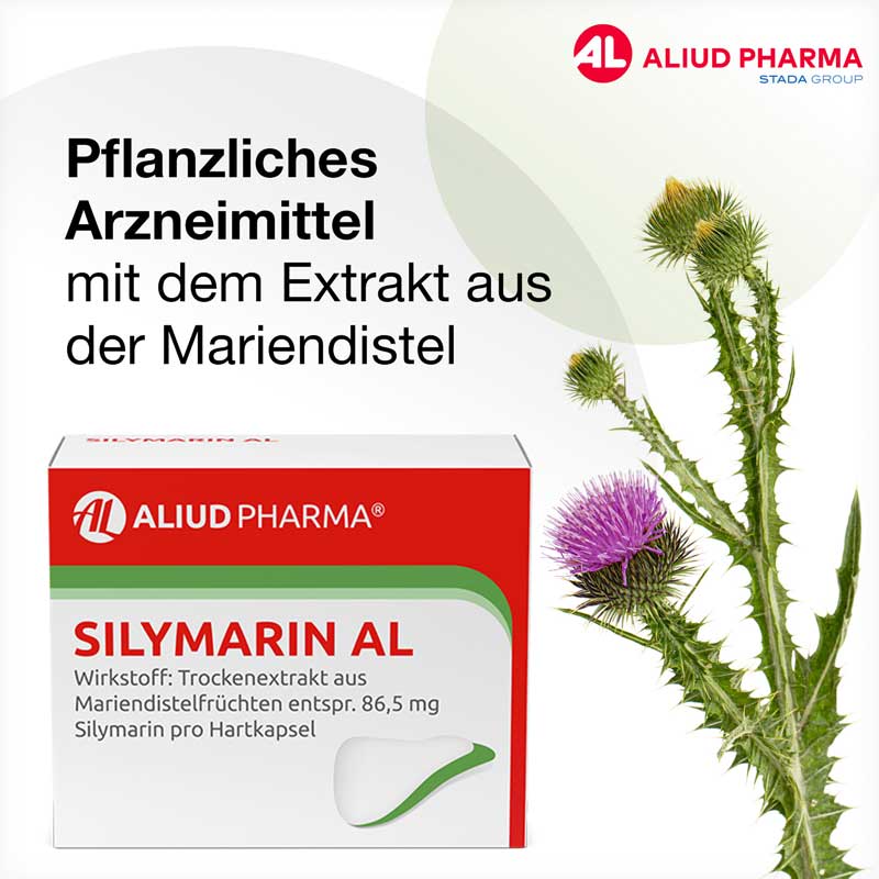 Silymarin AL zur unterstützenden Behandlung bei chronisch-entzündlichen Lebererkrankungen