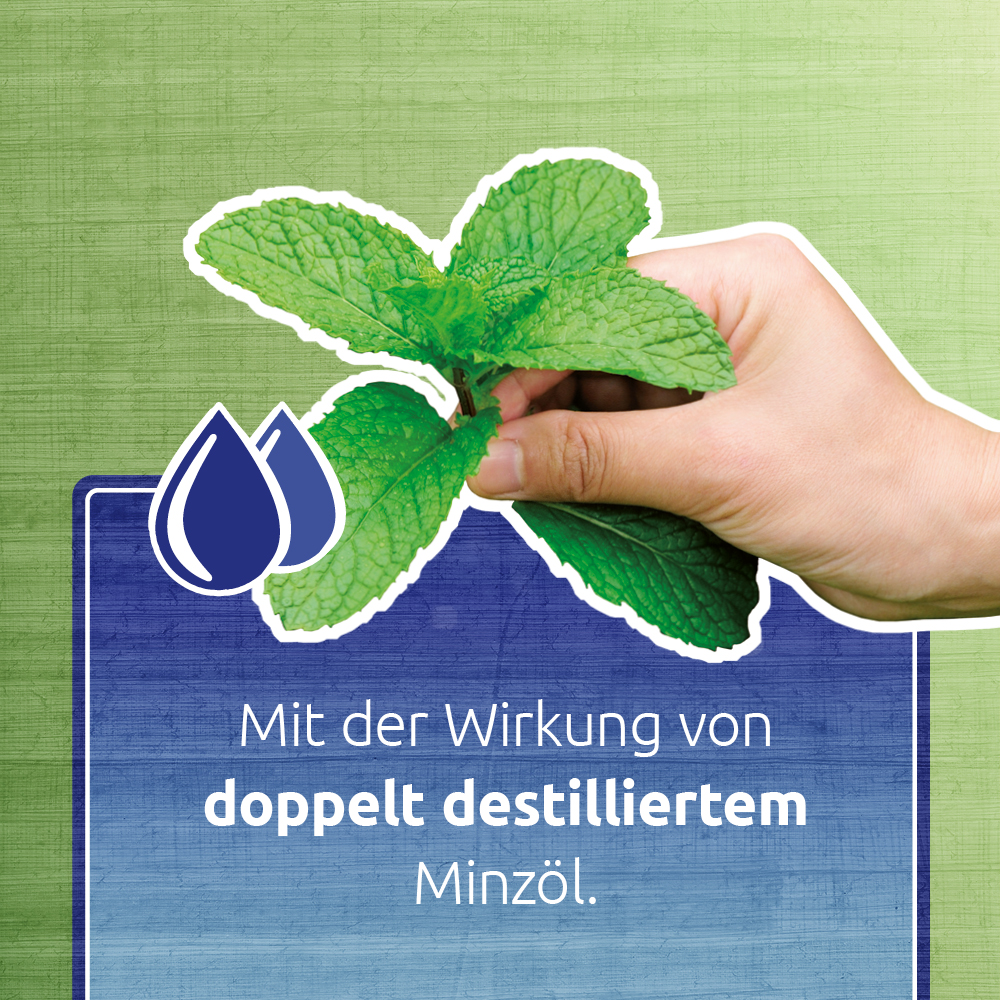 JHP Rödler Japanisches Minzöl ätherisches Öl 30 ml Ätherisches Öl