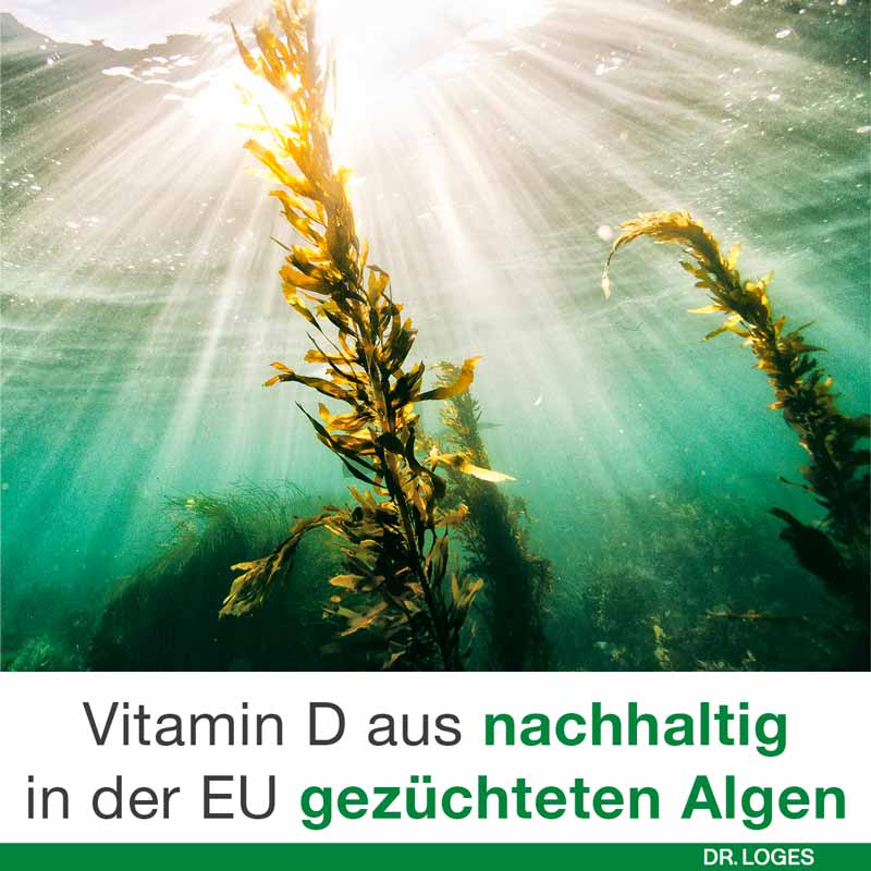 vitamin D-Loges 7.000 I.E pflanzlich 90 St Weichkapseln