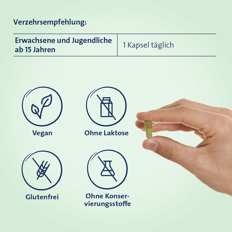 EISEN + C HEVERT PFLANZLICH 60 St Kapseln