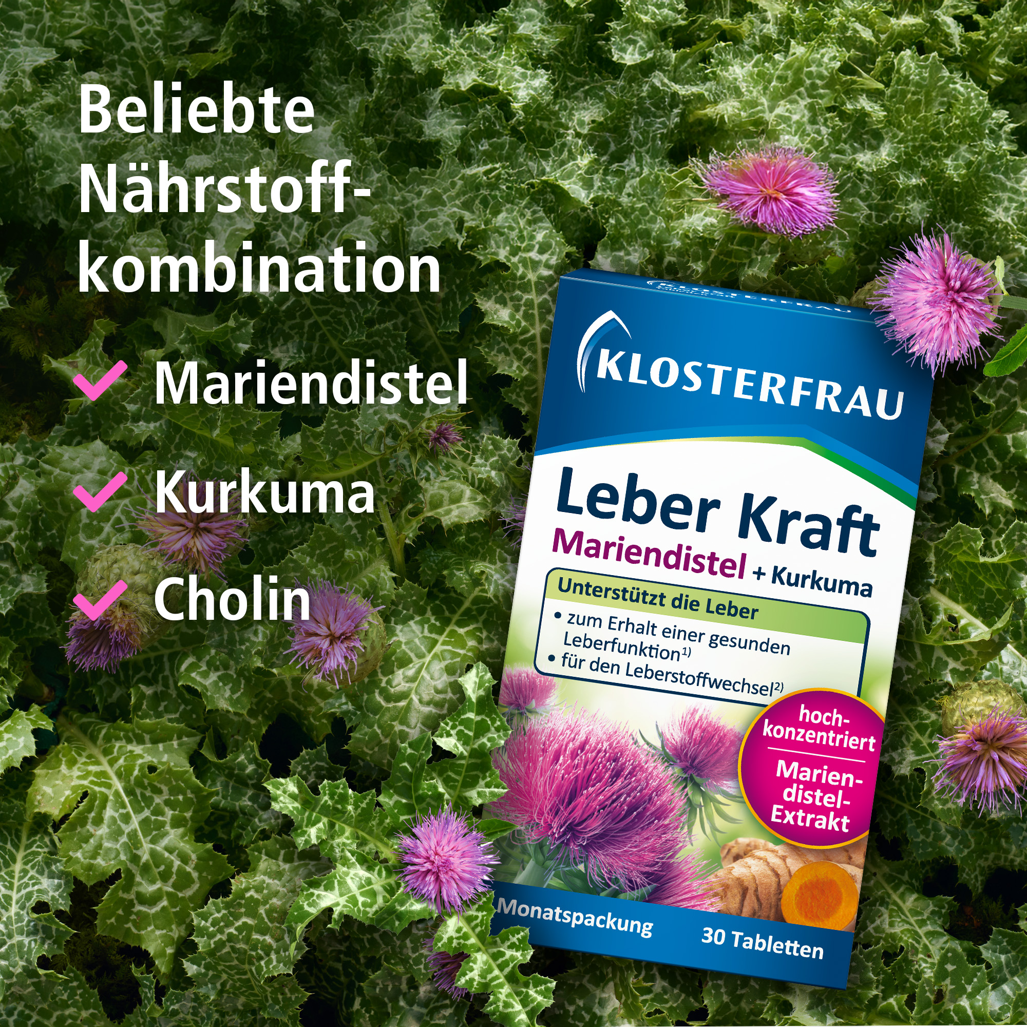 Klosterfrau Leber Kraft  30 St Tabletten