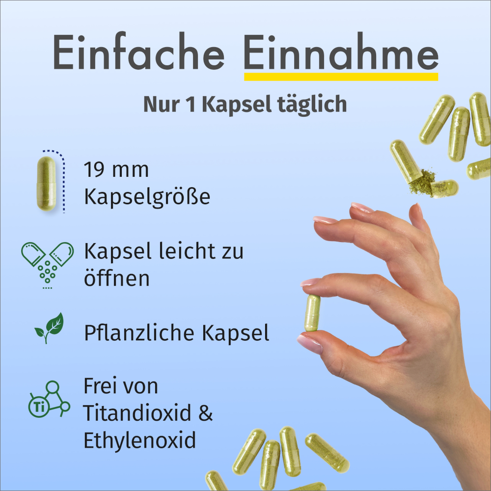 GREEN NATURALS Jod 200ug 365 St Kapseln