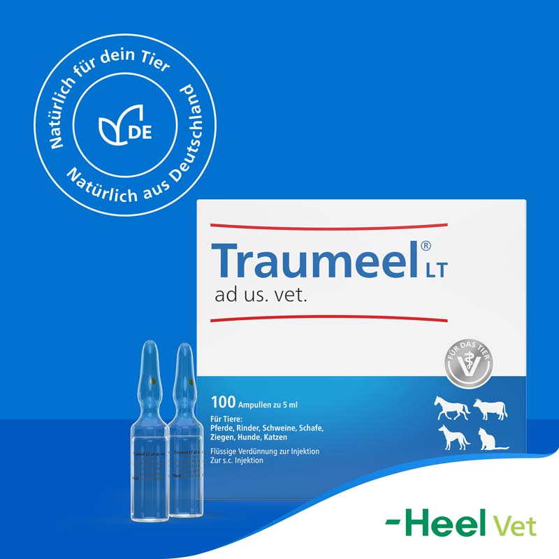 Traumeel LT ad us. vet. 100X5 ml Ampullen