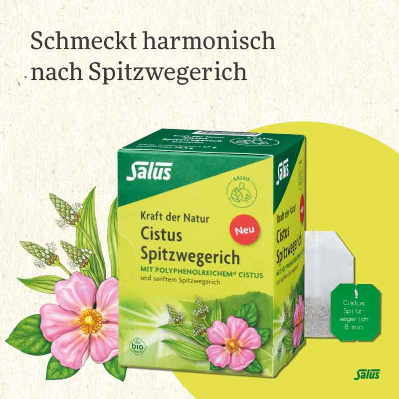 Salus Cistus Spitzwegerich Tee 15 St Filterbeutel