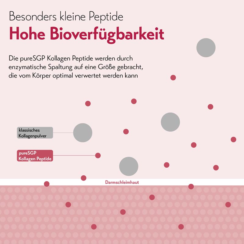 pureSGP KOLLAGEN PEPTIDE 300 g Pulver