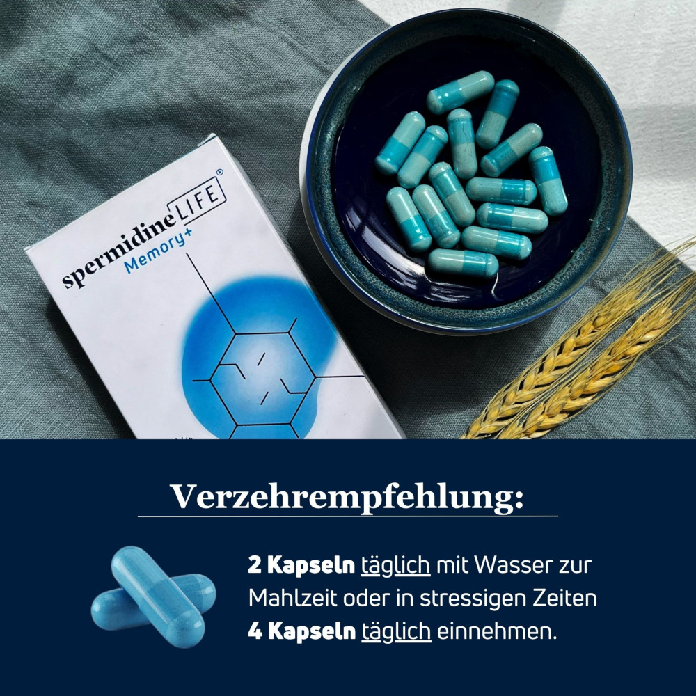 spermidineLIFE MEMORY+ 60 St Kapseln