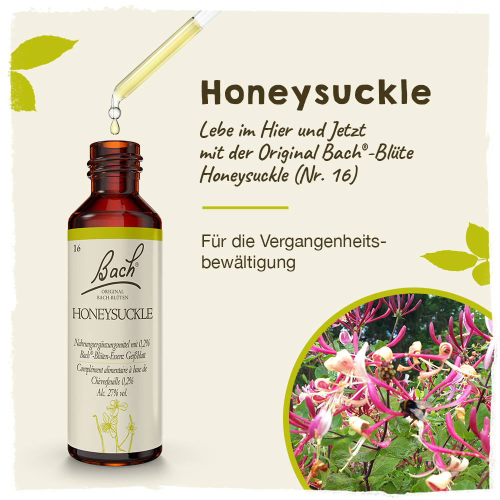 BACHBLÜTEN Original Honeysuckle Nr.16 20 ml Tropfen
