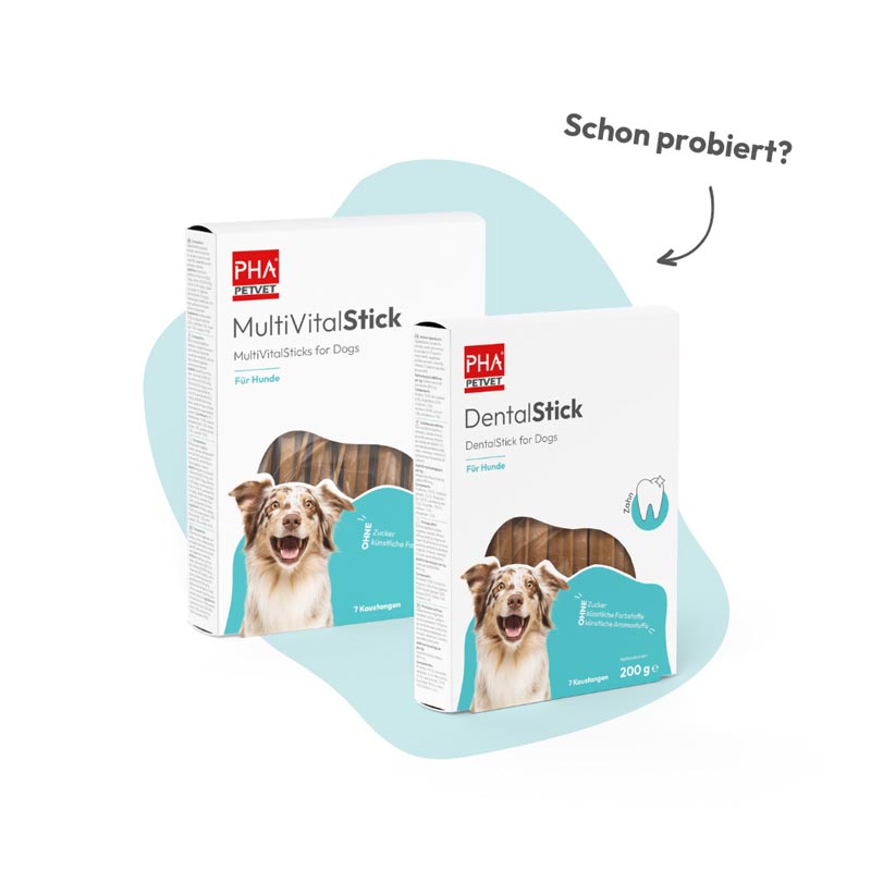PHA GelenkStick für Hunde 1 St Kaudragees
