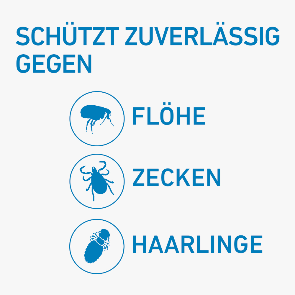 FRONTLINE SPOT-ON für Hunde L (20-40 kg) gegen Zecken, Flöhe und Haarlinge 6 St Lösung