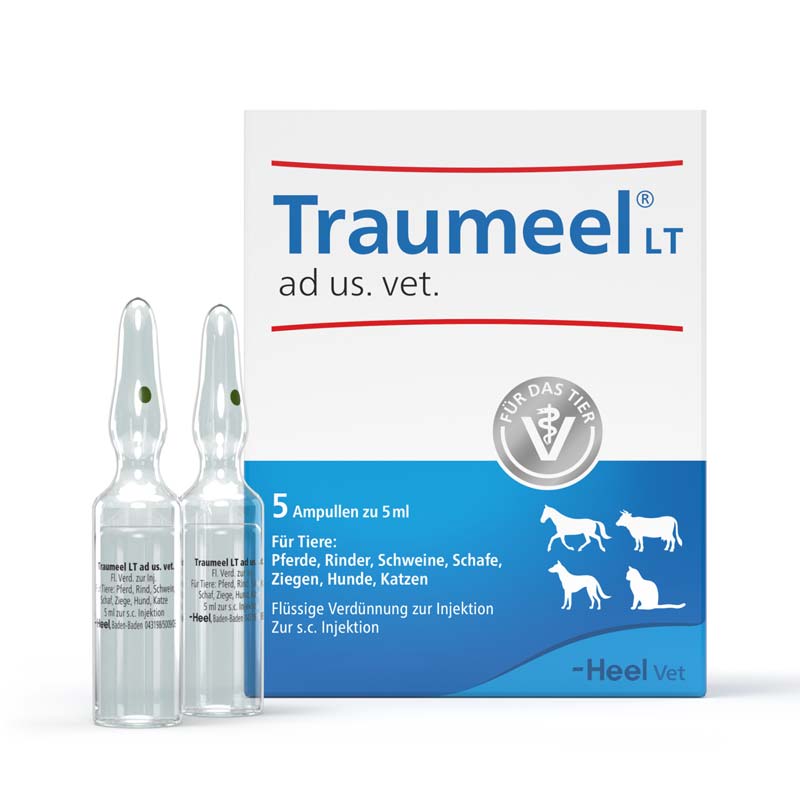 TRAUMEEL LT ad us.vet.Ampullen 5X5 ml Ampullen