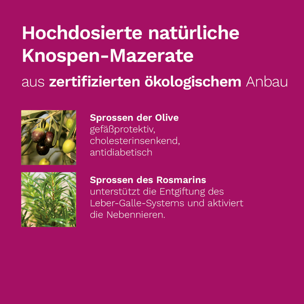 DR. KOLL Stoffwechsel Plus 50 ml Tropfen