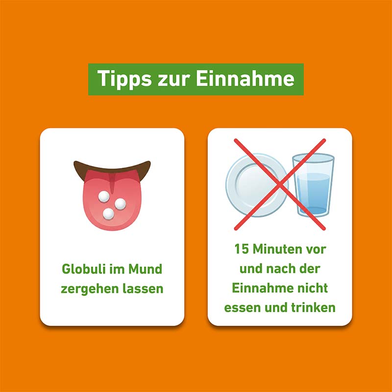 Arnica D12 Globuli Pflüger 10 g Globuli