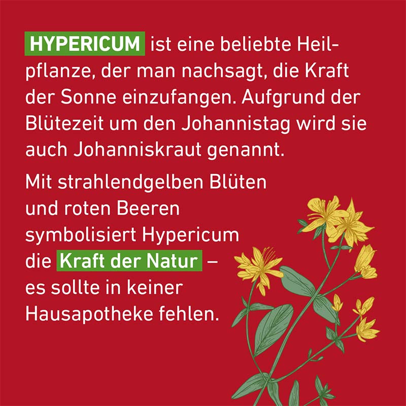 Hypericum D12 Globuli Pflüger 10 g Globuli