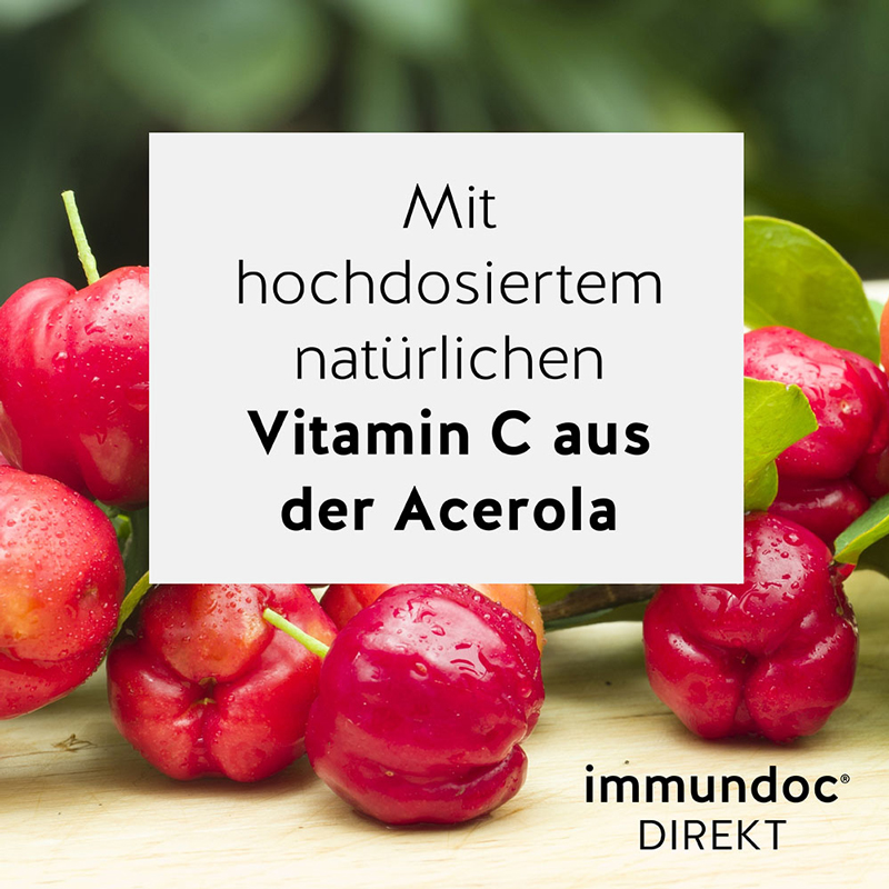immundoc DIREKT 12 St Trinkampullen