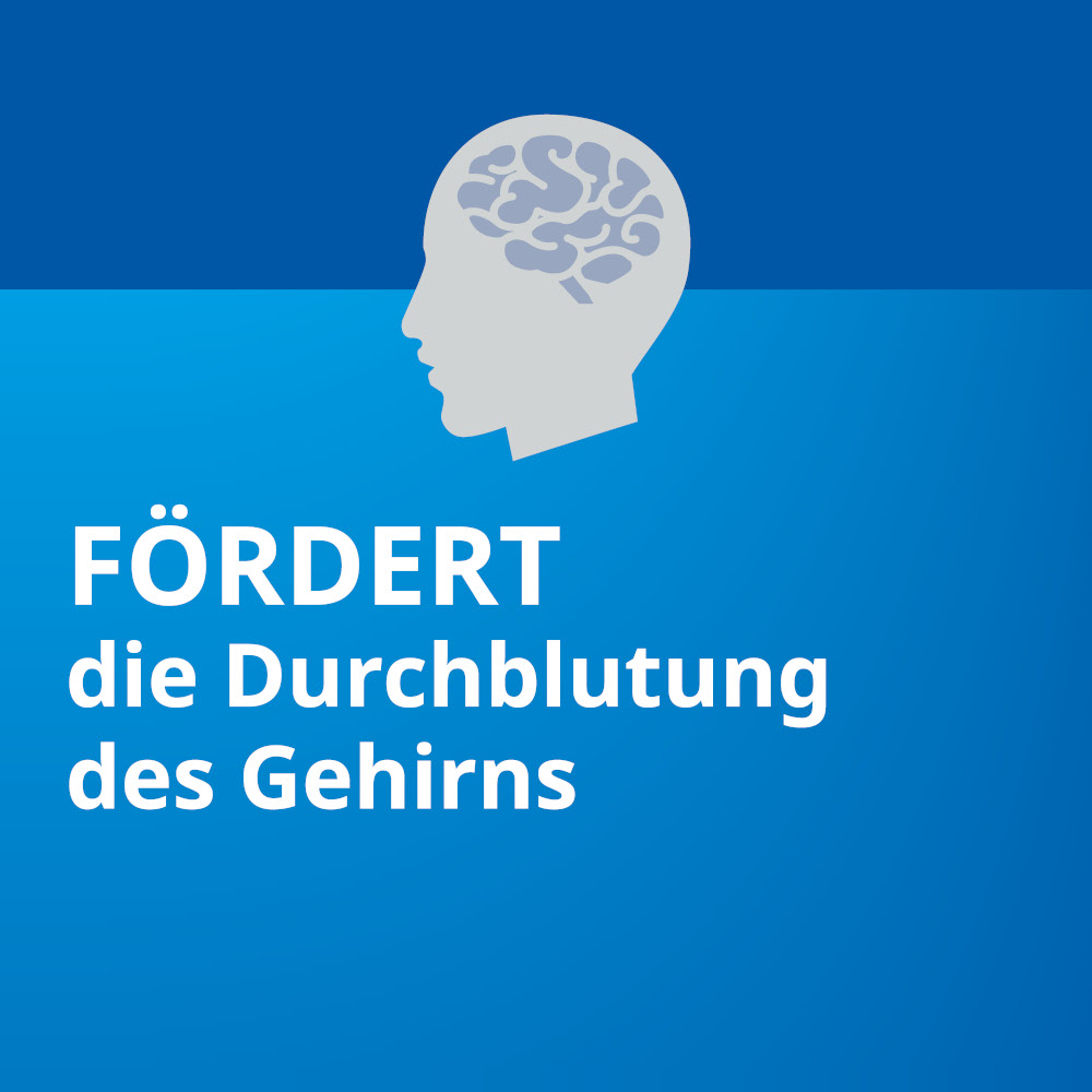 Ginkgo STADA 240mg 30 St Filmtabletten