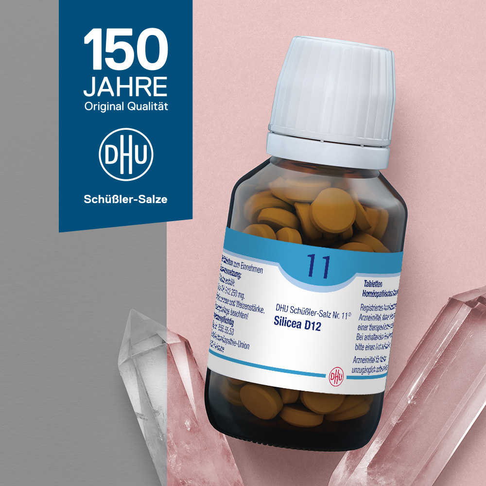 DHU Schüßler-Salz Nr. 11 Silicea D12 80 St Tabletten