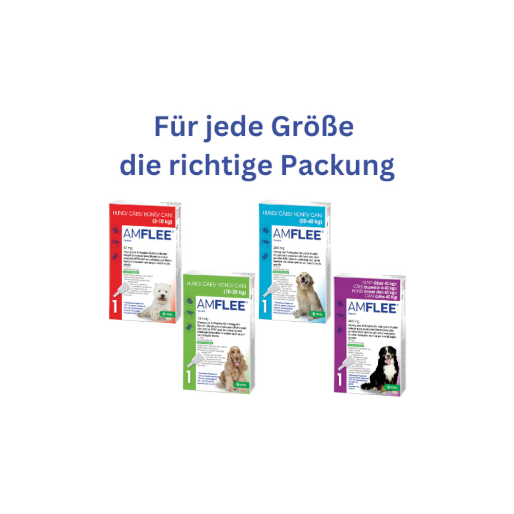Amflee 134mg Lösung zum Auftropfen für mittelgroße Hunde 3 St Lösung