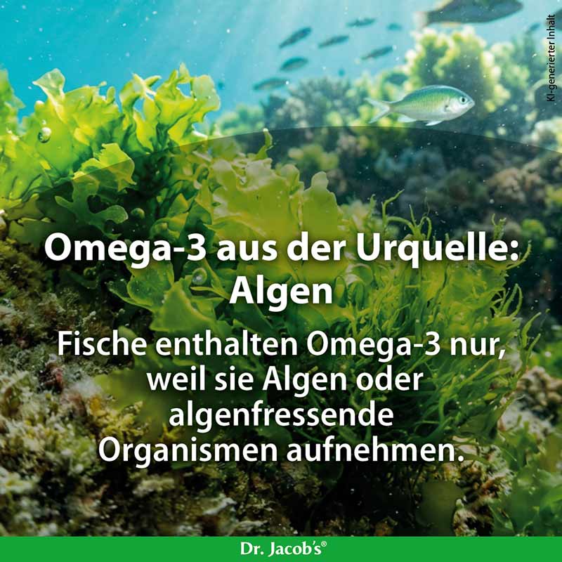 Dr. Jacobs DHA Algenöl vegane Omega-3-Fettsäure  60 St Kapseln
