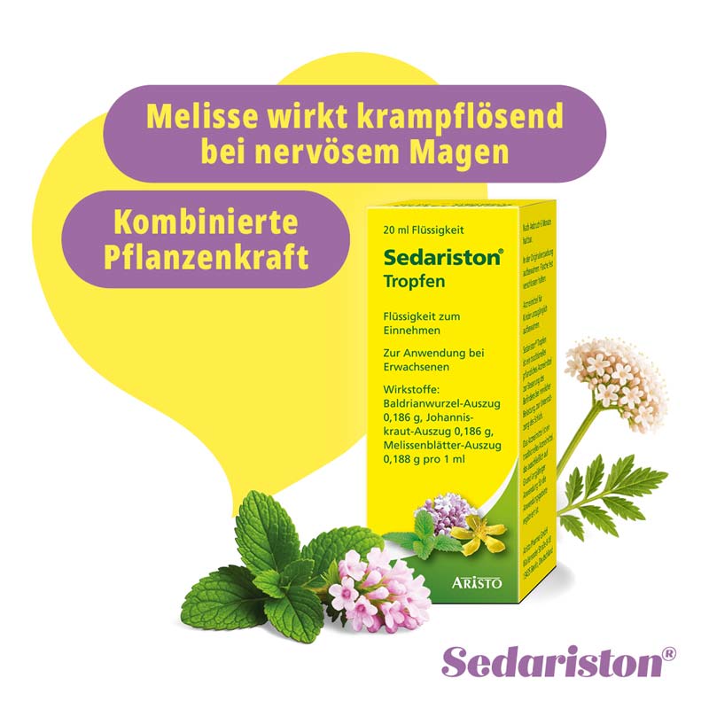 Sedariston Tropfen 20 ml Flüssigkeit zum Einnehmen
