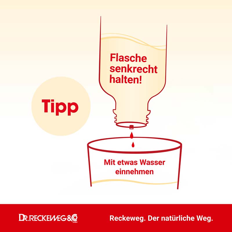 INTERCOSTAL-GASTREU R 69 50 ml Tropfen zum Einnehmen