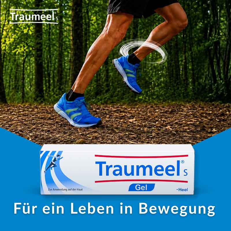 Traumeel S Gel 100 g Gel
