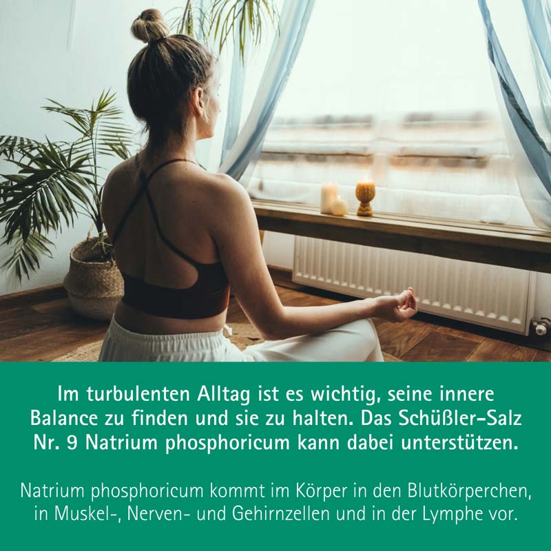 Schüßler-Salz Nr. 9 Natrium phosphoricum D6 100 St Tabletten