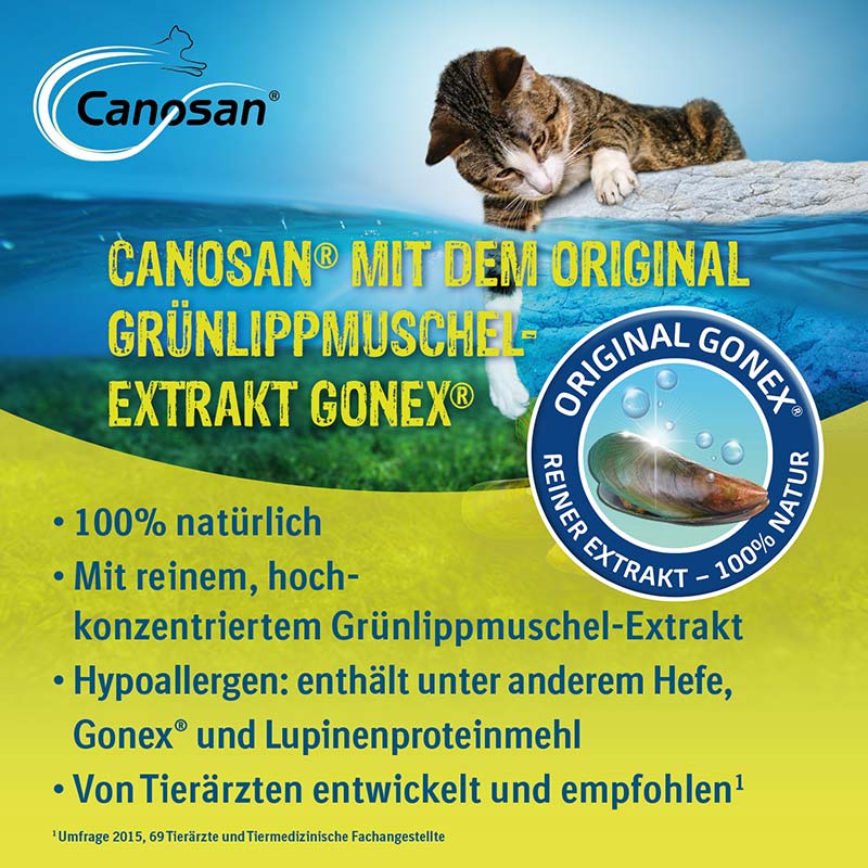 Canosan - Zur Unterstützung der Gelenke & des Bindegewebes für Katzen mit Grünlippmuschel-Extrakt Gonex 30 St Kautabletten