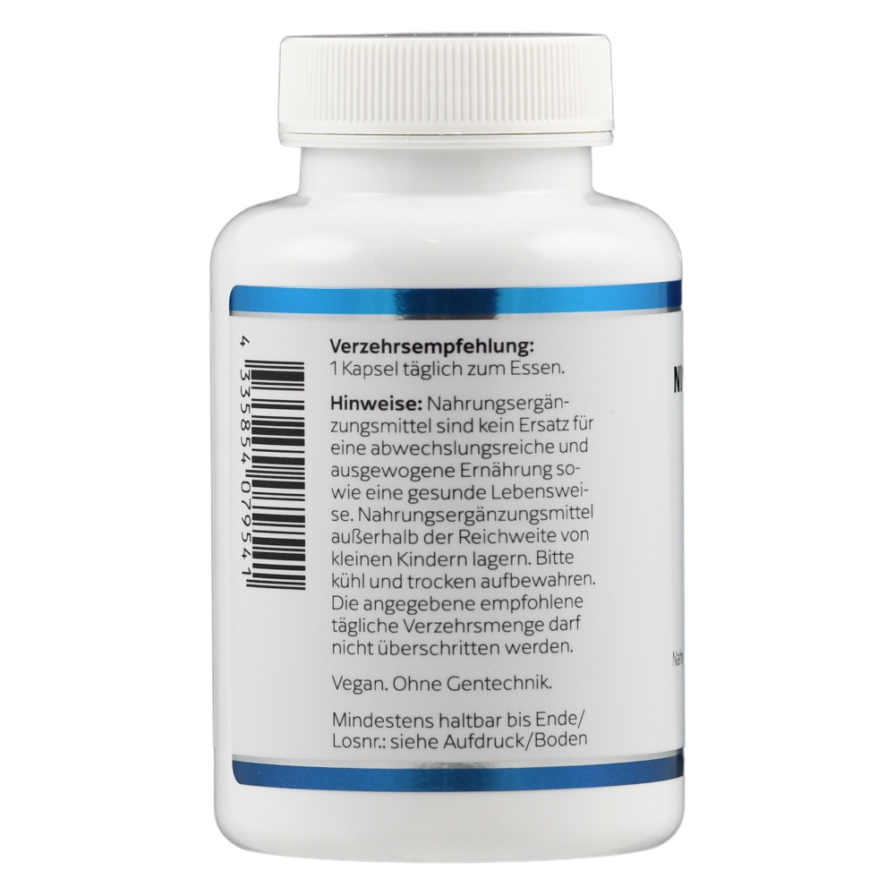 KLEAN LABS NIACINAMID 500mg 100 St Kapseln