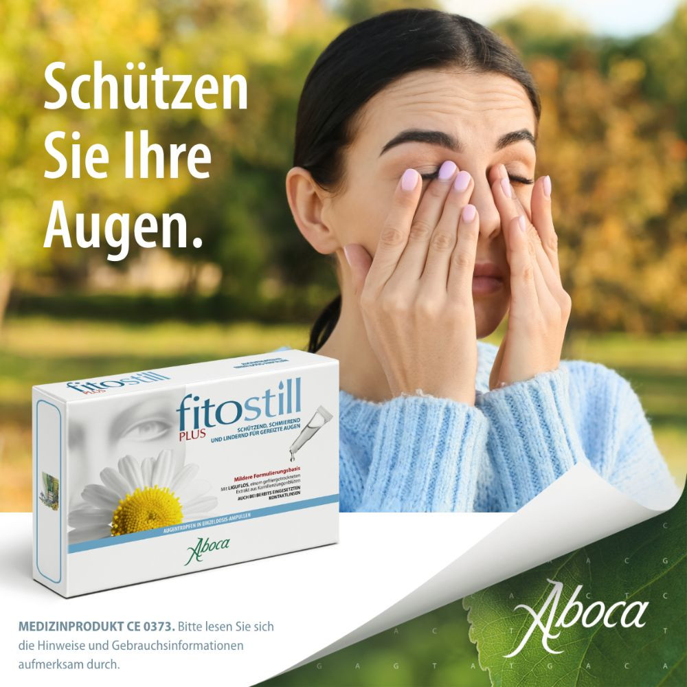 fitostill PLUS bei geröteten und überanstrengten Augen 10X0.5 ml Augentropfen