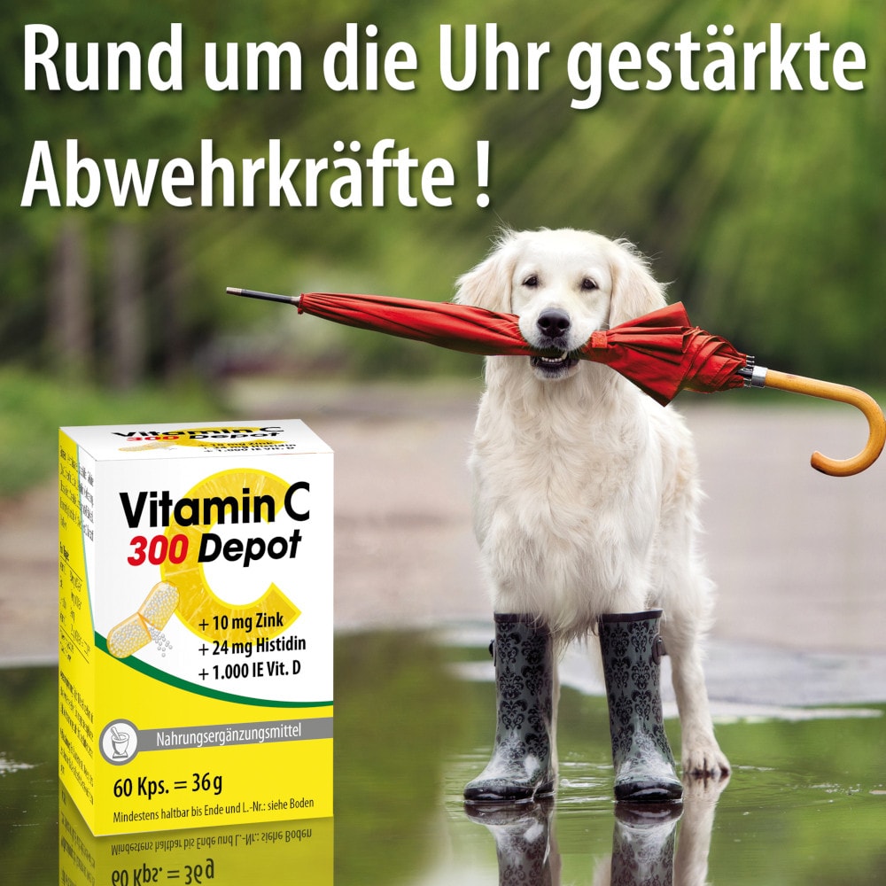VITAMIN C 300 Depot+Zink+Histidin+D Kapseln 60 St Kapseln