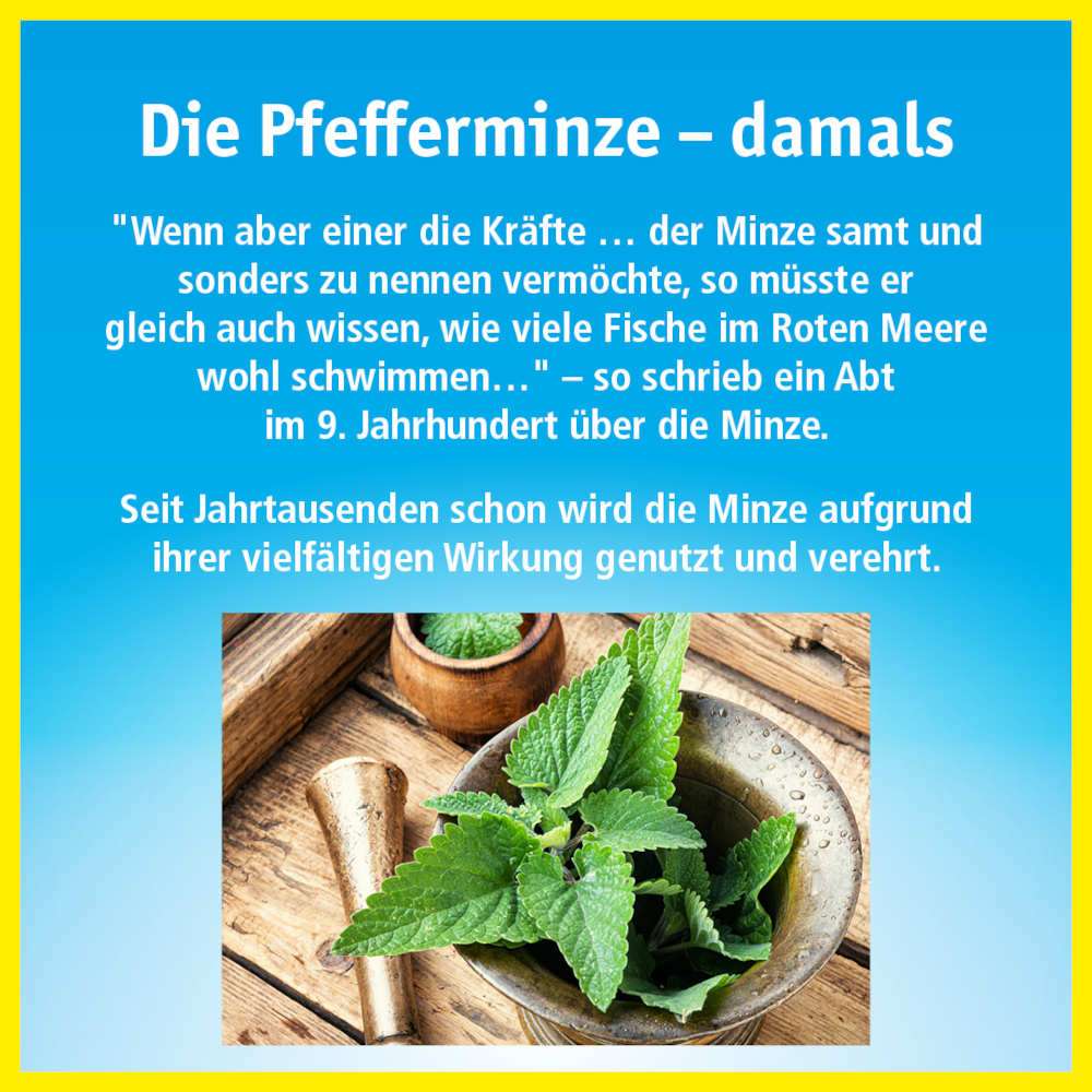 China Oel Hals- und Rachen-Bonbons zuckerfrei 40 g Bonbons