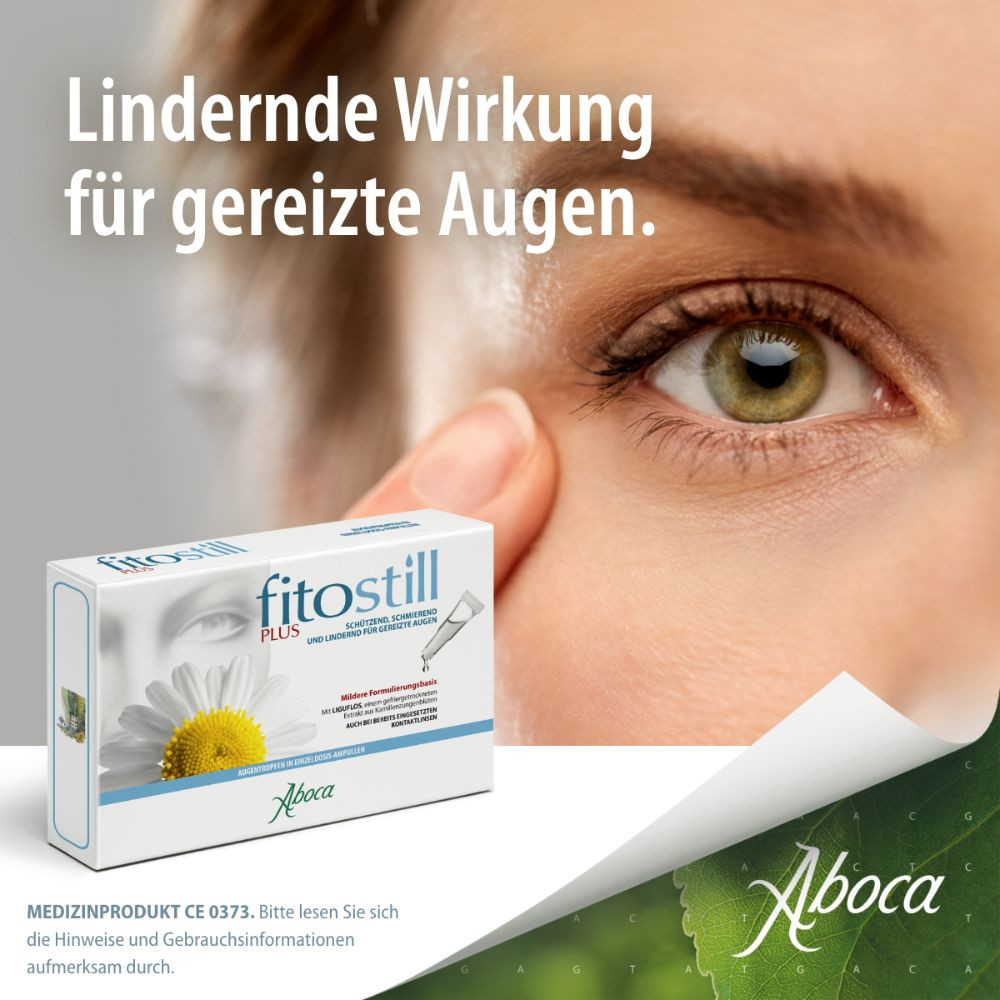fitostill PLUS bei geröteten und überanstrengten Augen 10X0.5 ml Augentropfen