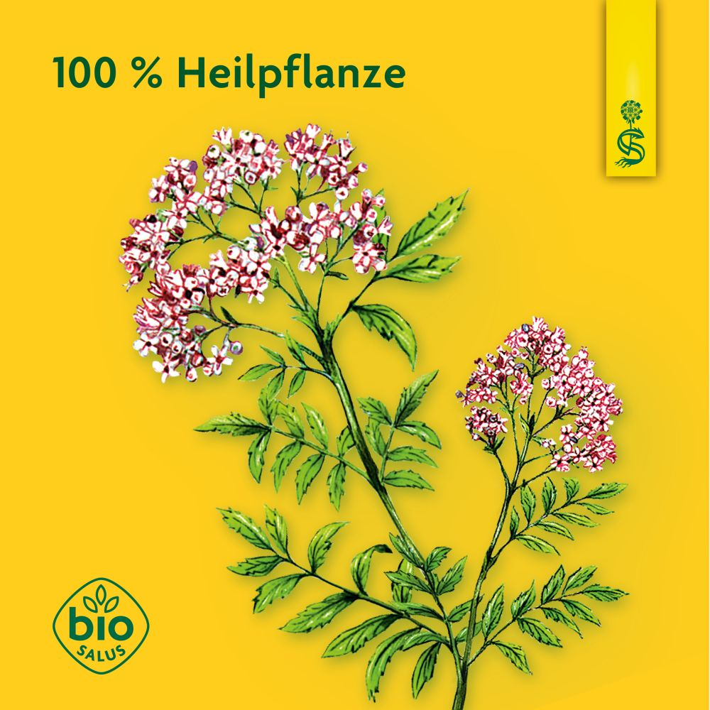 Schoenenberger Naturreiner Heilpflanzensaft Baldrian 200 ml Saft