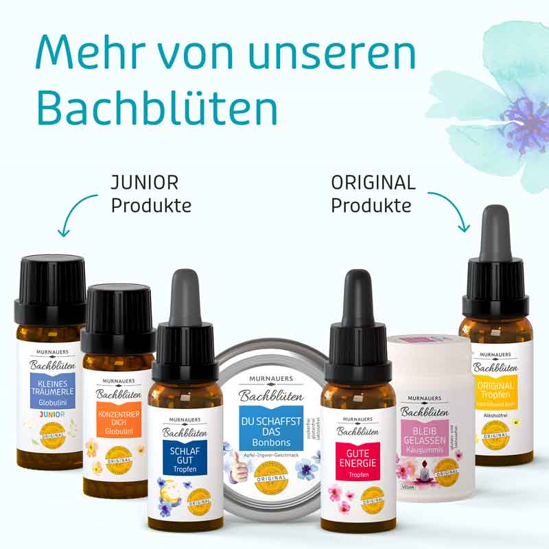 MURNAUERS Bachblüten KOPF HOCH Bonbons  50 g Bonbons