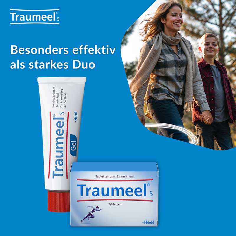 Traumeel S Gel 100 g Gel