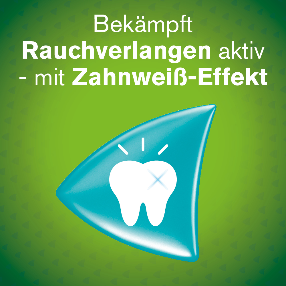nicorette 2 mg Nikotinkaugummi whitemint für Raucher zum Aufhören