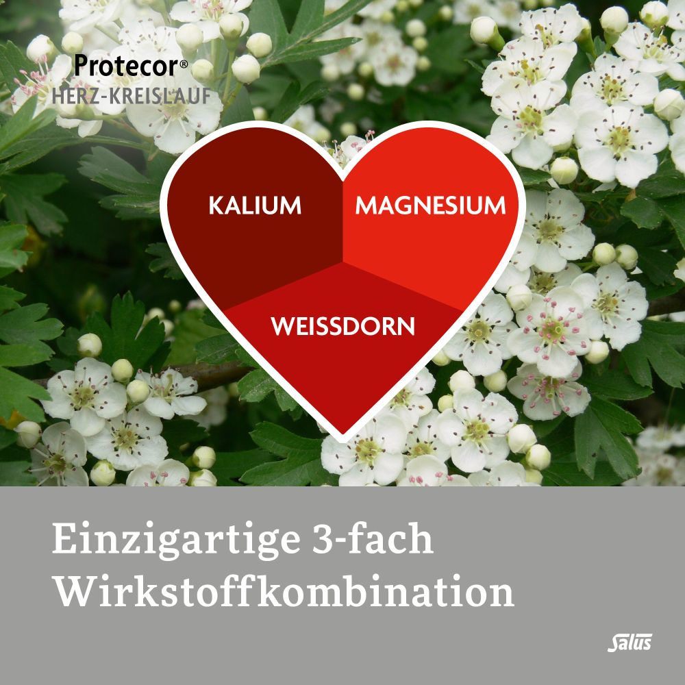 Salus PROTECOR Herz-Kreislauf Tabletten zur Funktionsunterstützung 250 St Überzogene Tabletten