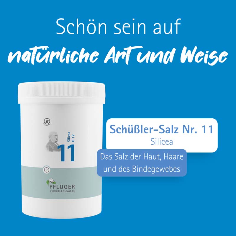 Schüßler-Salz Nr. 11 Silicea D12 4000 St Tabletten
