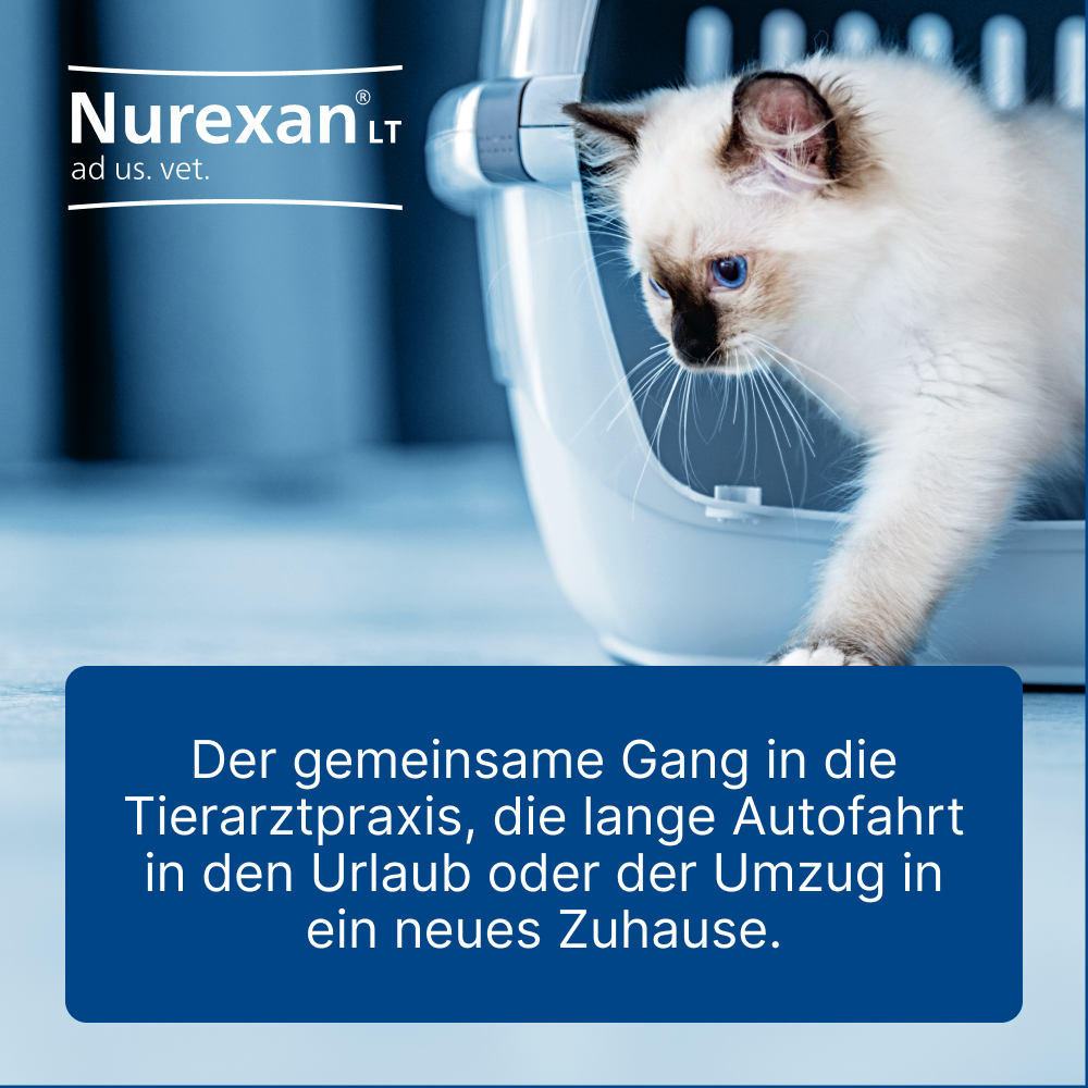 Nurexan LT ad us. vet. 100 St Tabletten