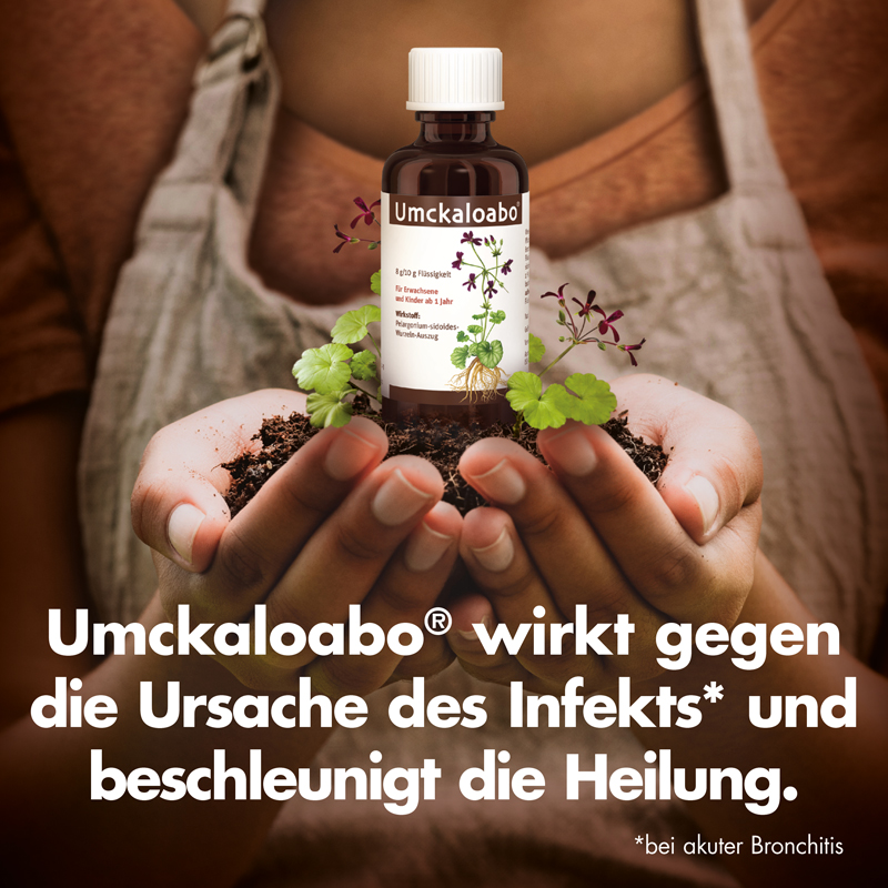 Umckaloabo 50 ml Flüssigkeit
