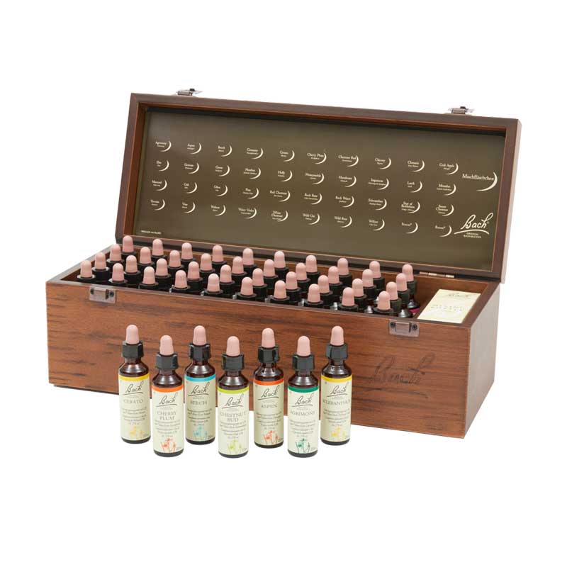 BACHBLÜTEN Original Professional Set 40 x 20ml 800 ml Tropfen