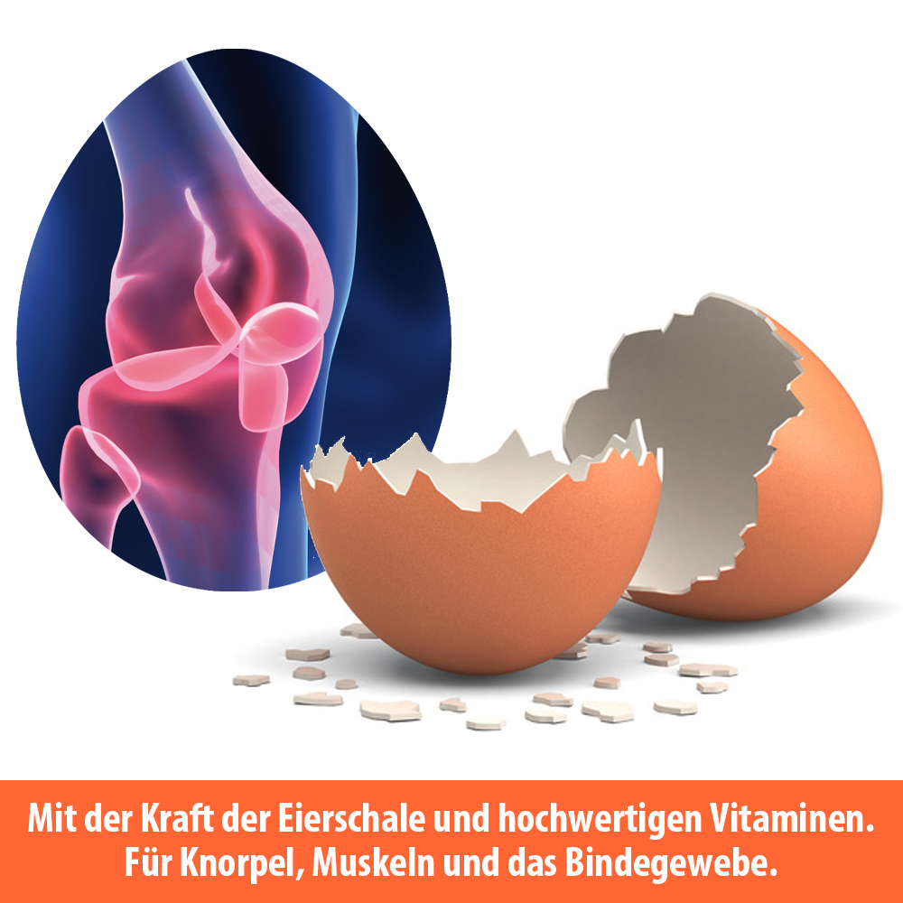 ARTHROSAN ovoaktiv Eierschalenmembran Kapseln 90 St Kapseln