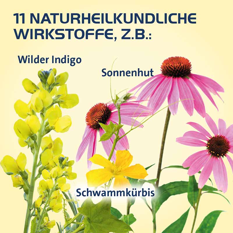 SINUSITIS HEVERT- Bei Schnupfen und Entzündungen der Nasennebenhöhlen 100 St Tabletten